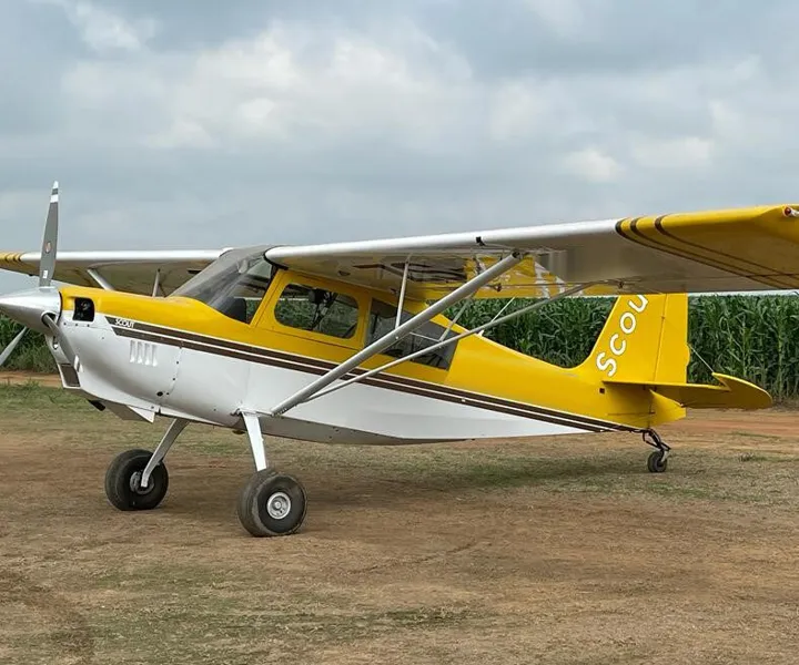 American American Champion Scout 8-GCBC for sale