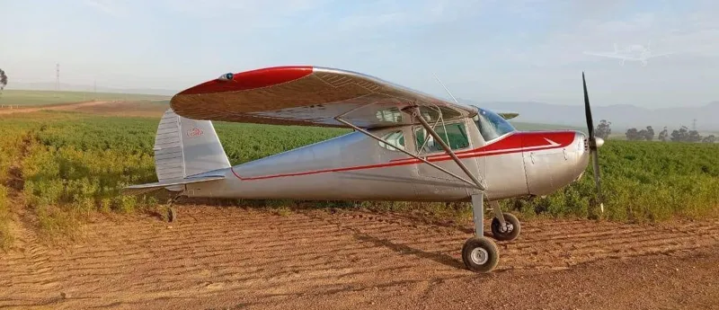 CESSNA 140 for sale