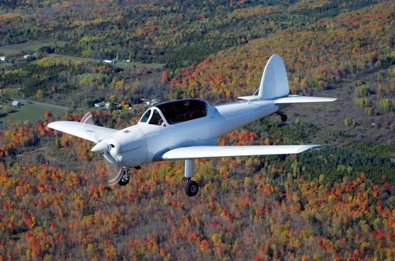 DEHAVILLAND DHC-1 for sale