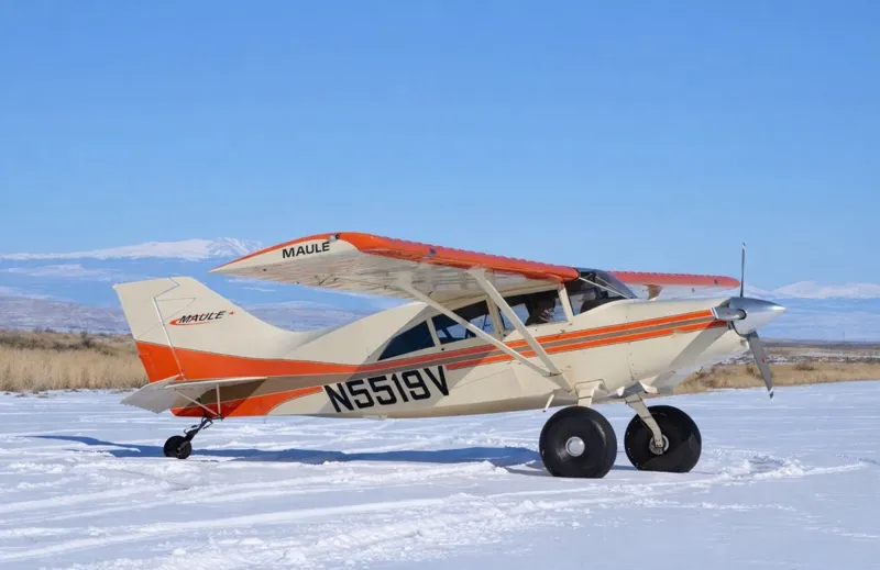 2004 Maule M-7-260C for sale