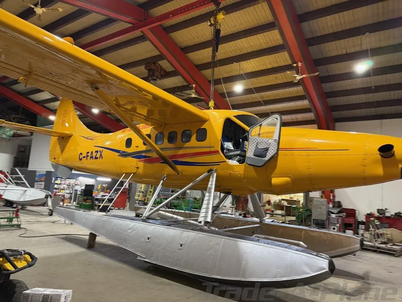 1966 De Havilland DHC-3 for sale