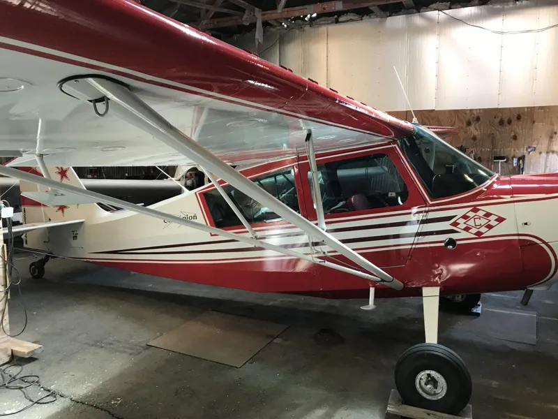 1967 American Champion 7ECA for sale