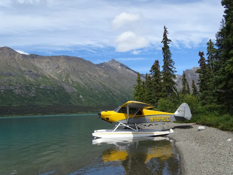 2016 Cubcrafters Carbon Cub Ss for sale