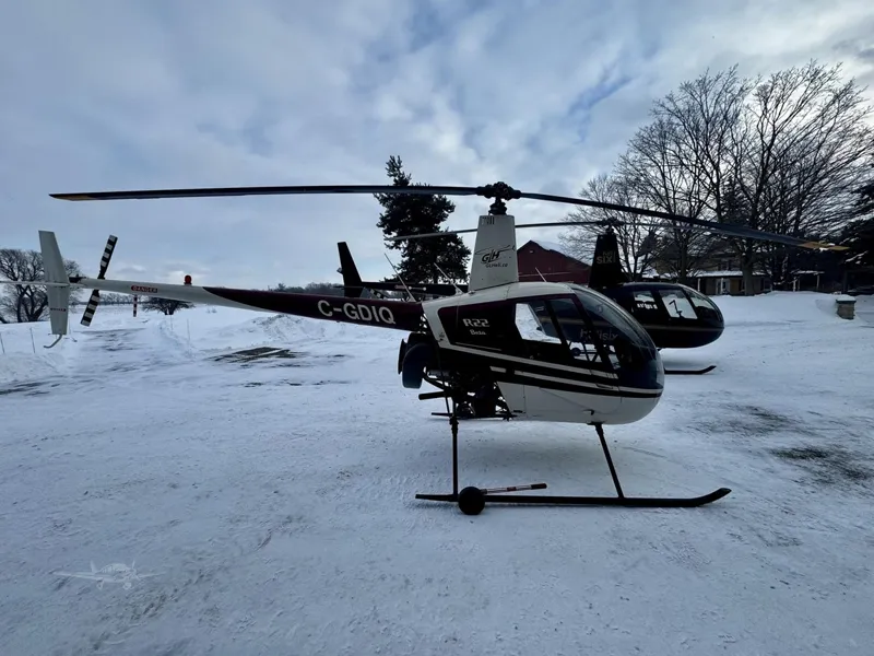 1992 Robinson R22 Beta for sale
