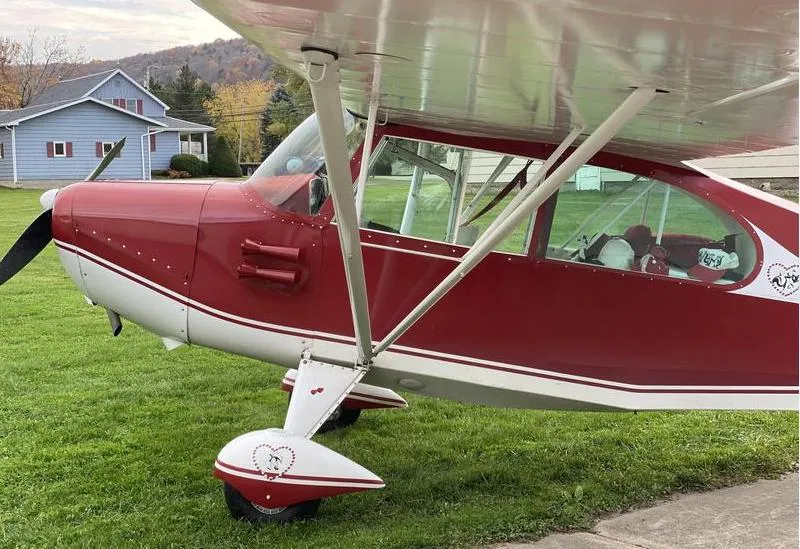 1959 American Champion 7 Ec for sale