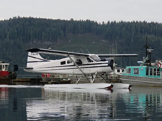 1955 De Havilland DHC-2 MK I for sale