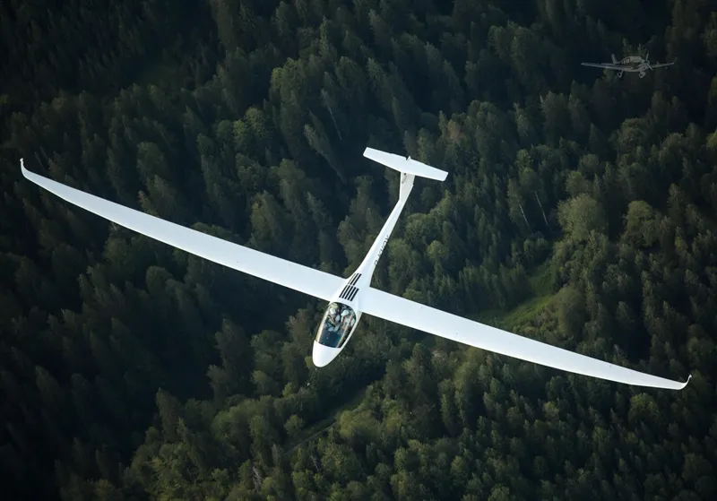 STEMME S12-G for sale