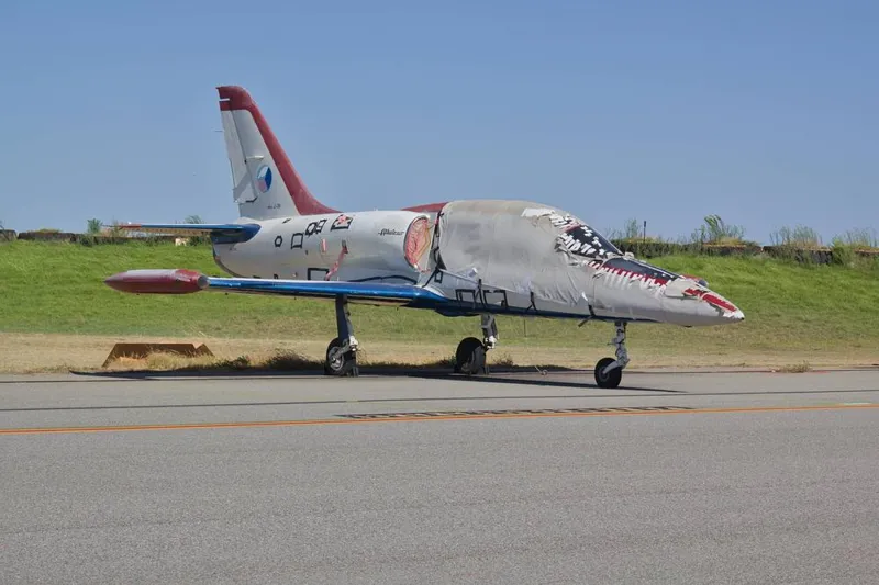 Aerovodochody Vodochody L-39 Albatros C