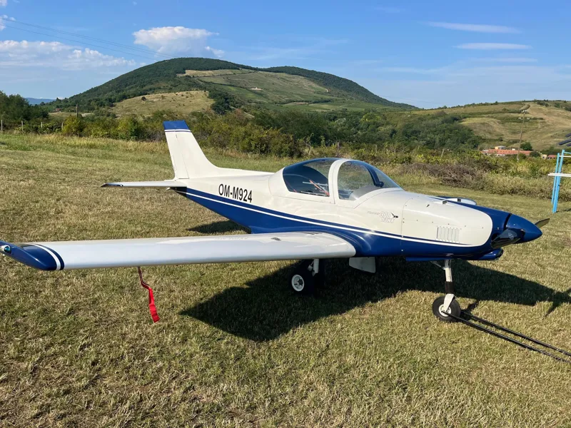 2008 Alpi Aviation Pioneer 300 for sale