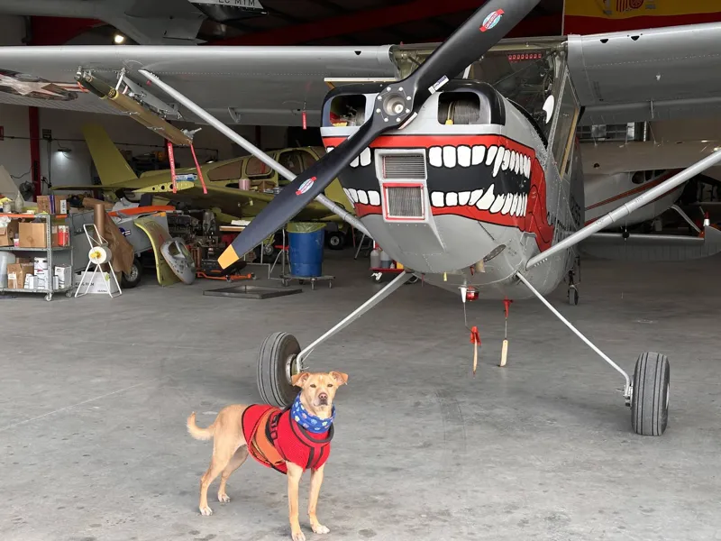 Cessna 305/L-19 Bird Dog
