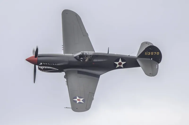 Curtiss P-40E Warhawk for sale