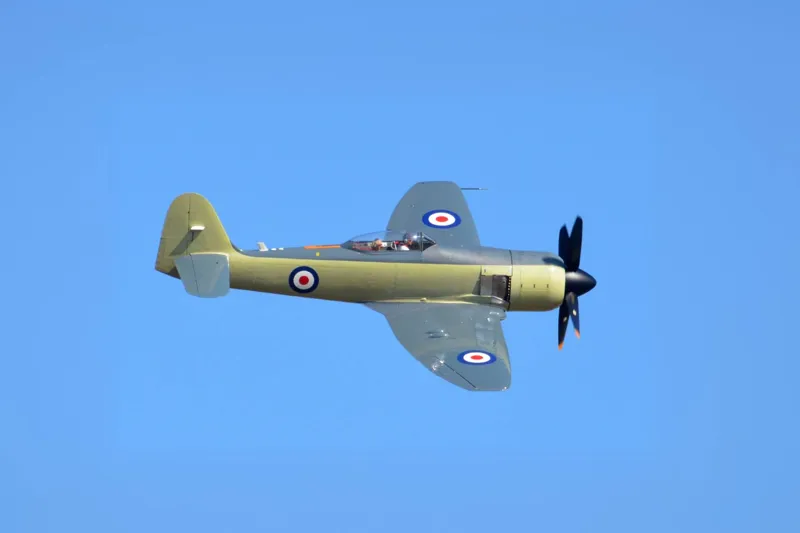 1954 Hawker Sea Fury for sale