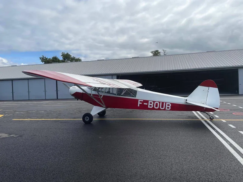 1951 Piper Super Cub for sale