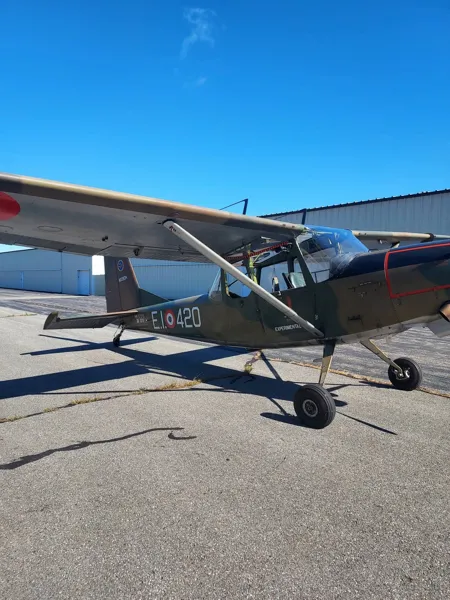 1976 SIAI-Marchetti SM-1019 for sale