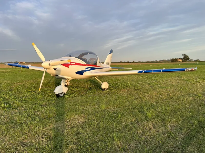 2007 TL Ultralight TL-2000 Sting for sale