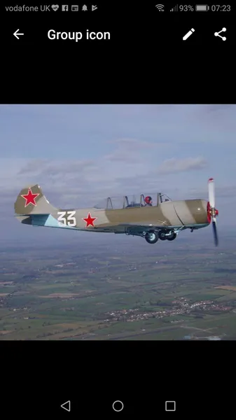 1980 Yakovlev YAK-52 for sale