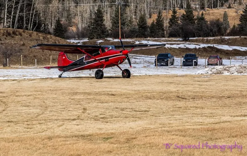 1952 Cessna 170B for sale