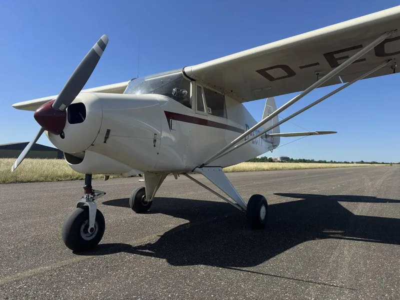 Piper Colt