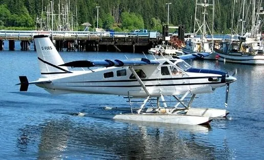 1967 De Havilland DHC-2 for sale