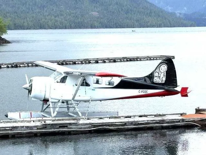 1950 De Havilland DHC-2 MK I for sale