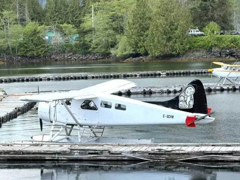1952 De Havilland DHC-2 for sale