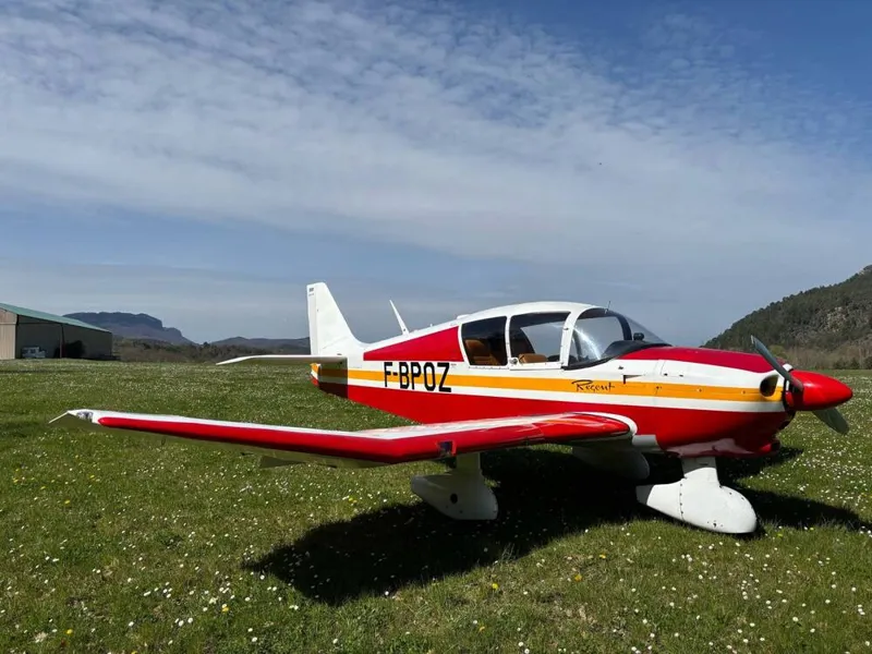 Robin DR-253 R gent