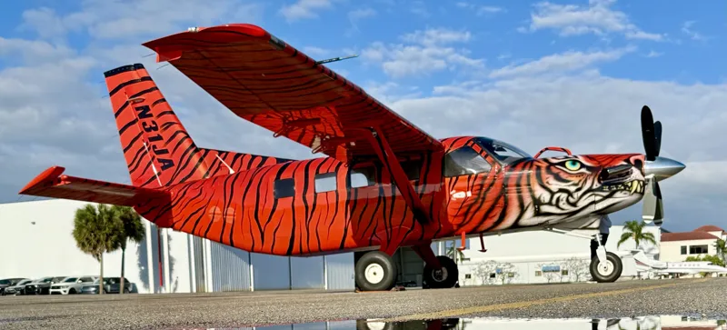 2010 Daher Kodiak 100 for sale