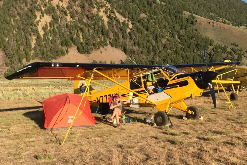 2007 Aviat A-1B Husky for sale