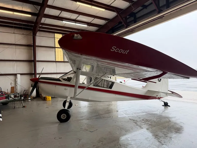 1974 American Champion Scout for sale