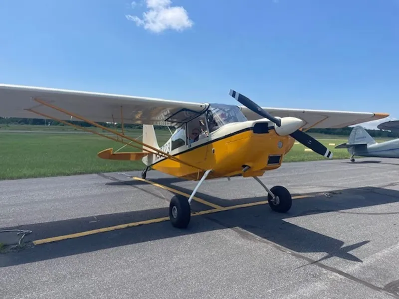American Champion Scout