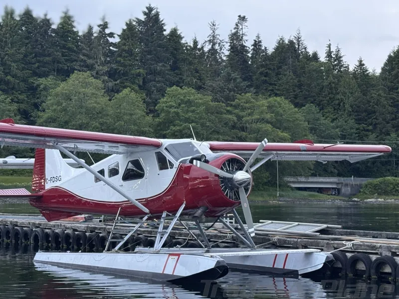 DEHAVILLAND DHC-2 for sale