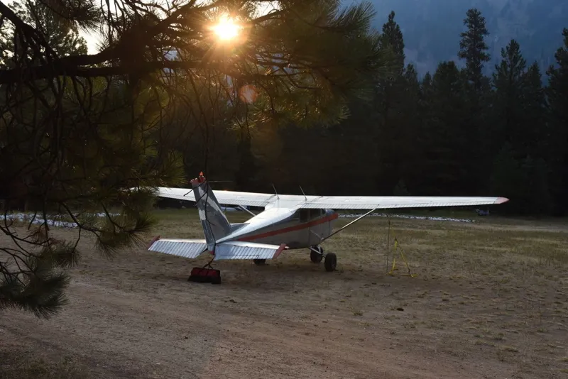 Cessna 175