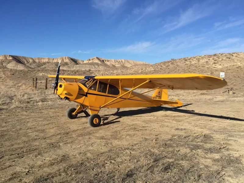 Piper PA-11 Cub Special