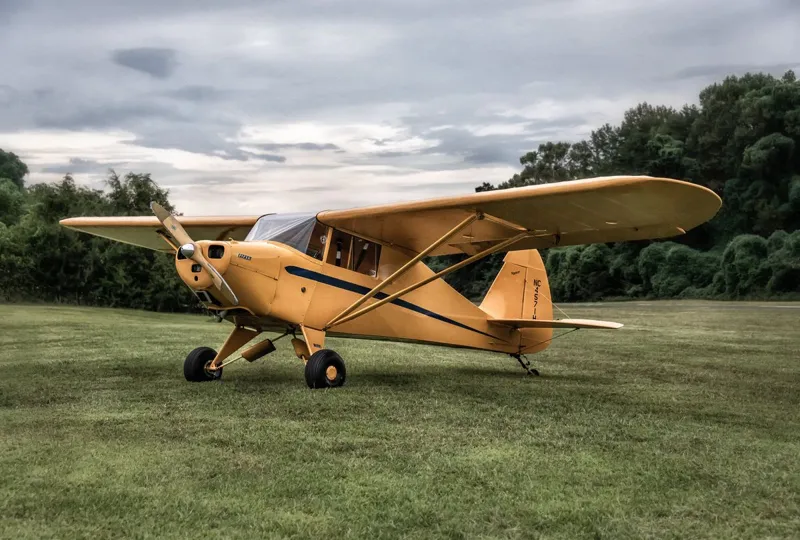Piper Vagabond